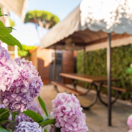Apartment Holiday Versilia Camaiore Kültér fotó