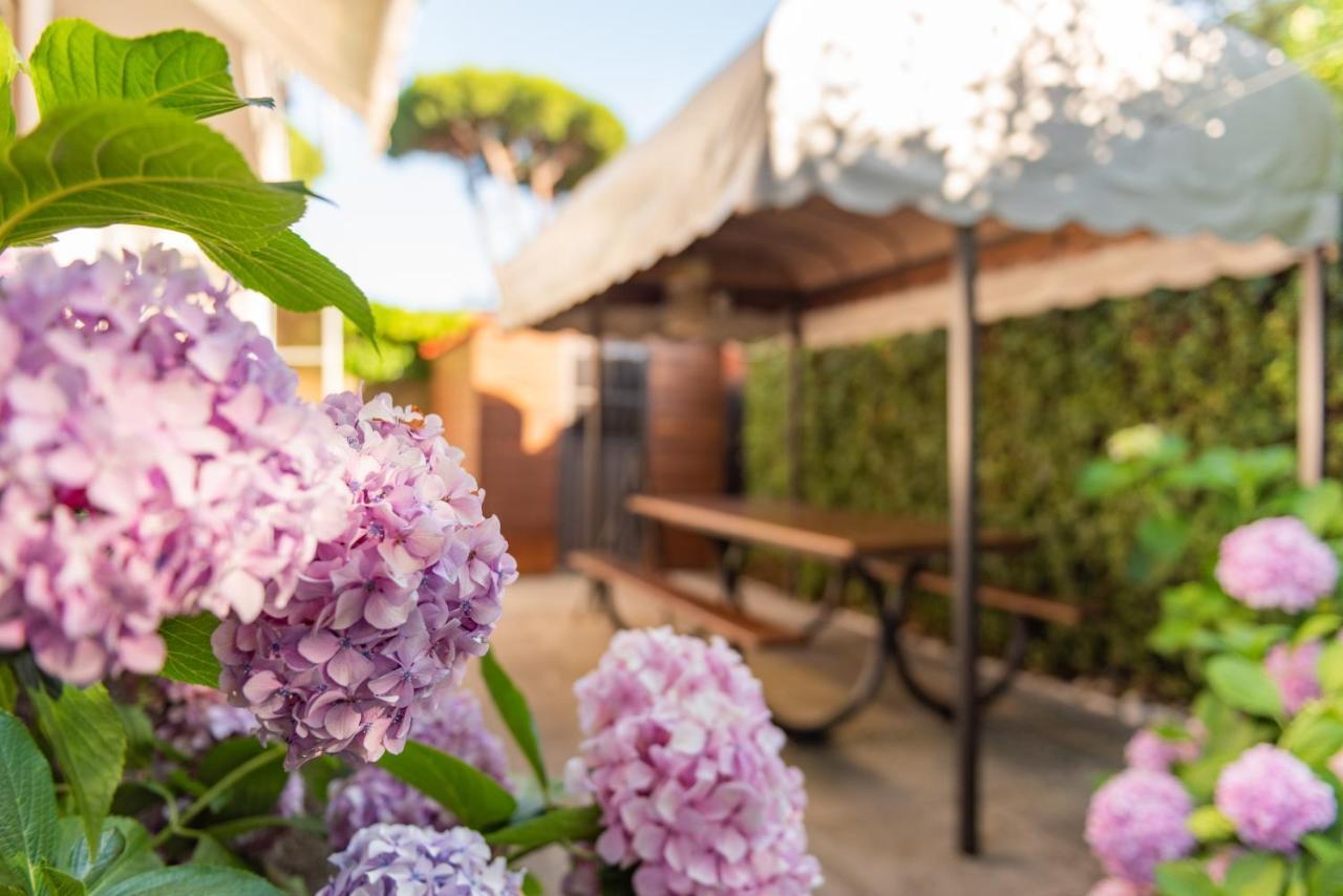 Apartment Holiday Versilia Camaiore Kültér fotó